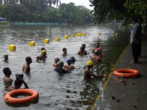 Pool Lifeguard Training