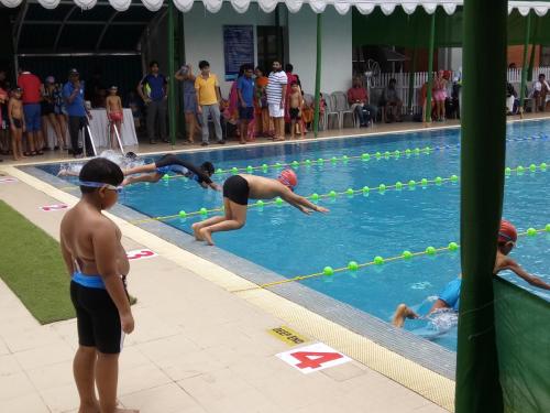 Swimming Competition - South Club